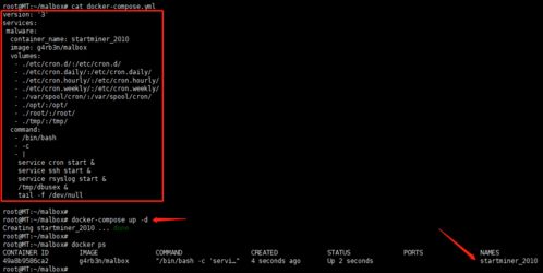 Docker化自动采集环境 模拟恶意软件分析的基础软件服务构建