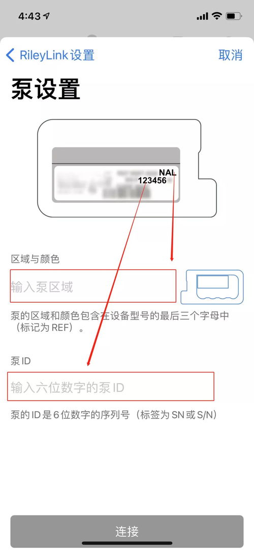 软件的基本设置与服务应用